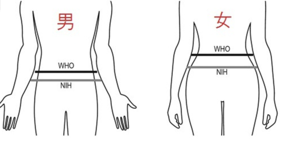 체지방 계산기 WTO