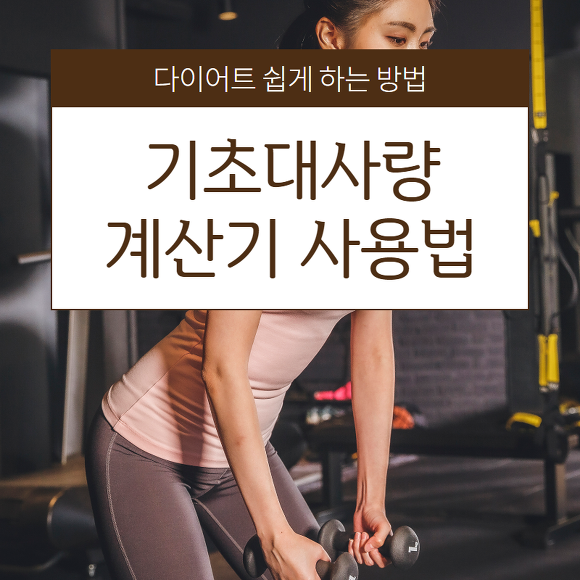기초대사량 계산기 사용법