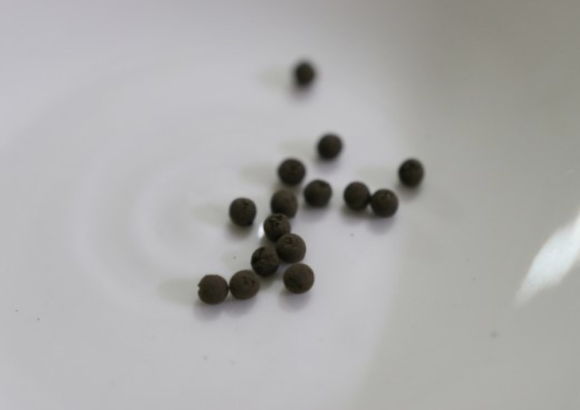 노니환 다이어트