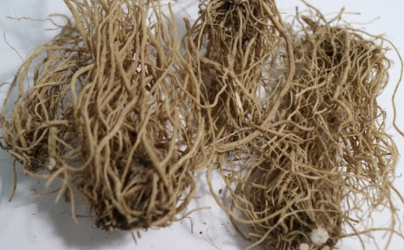 우슬효능 음식 궁합