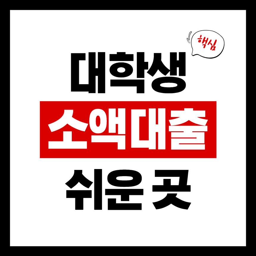 대학생 소액대출