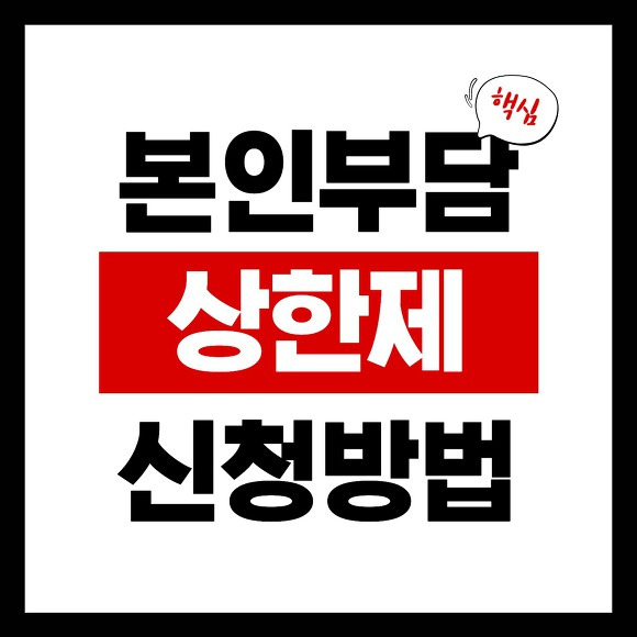 본인부담한제 썸네일